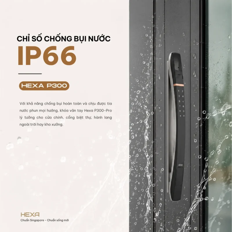 Chỉ số chống bụi nước IP66 HEXA P300