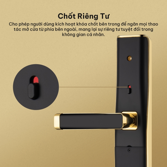 Khóa thông minh Hexa L100-5