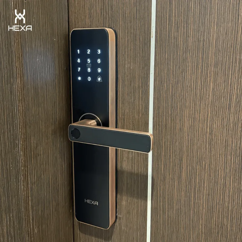 Khóa cửa thông minh HEXA HX12