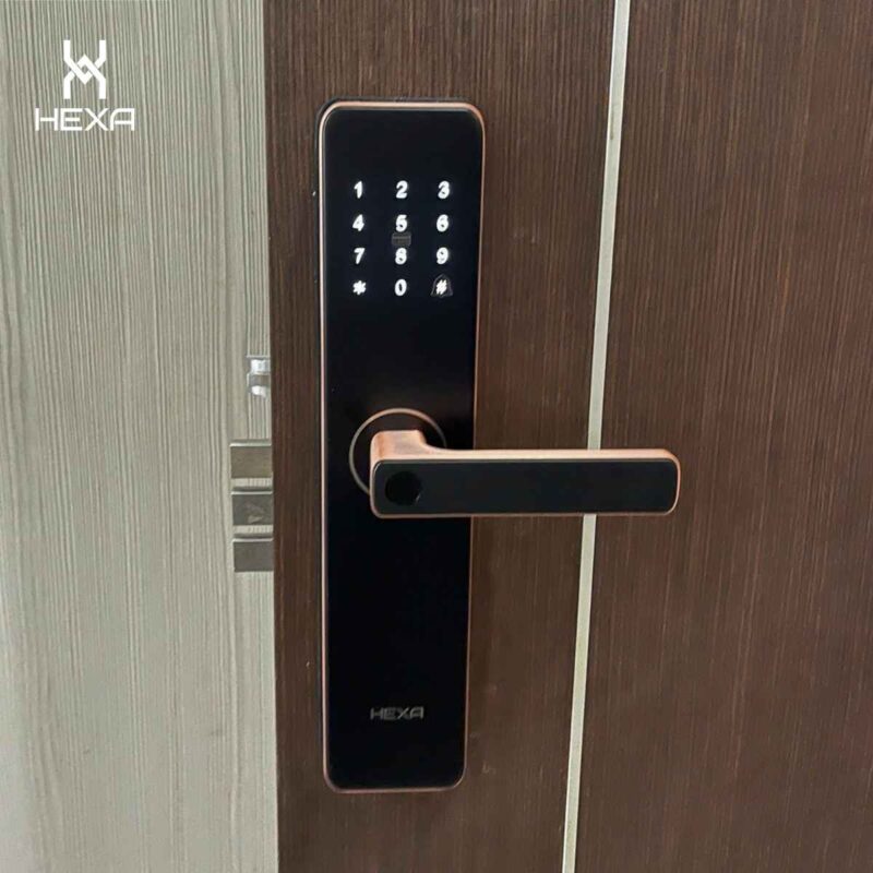 Hexa HX12 lắp trên cửa gỗ chung cư Bình Dương