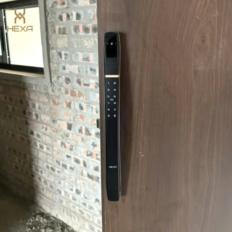 Khóa cửa vân tay HEXA P300 PRO