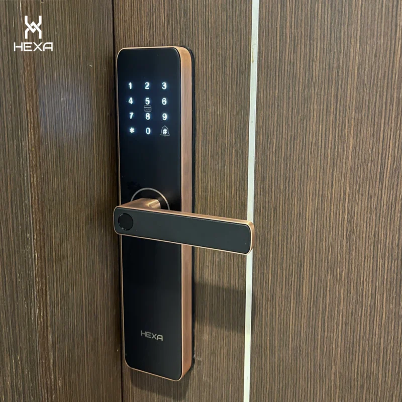 Khóa vân tay thiết kế tay gạt truyền thống HEXA HX12
