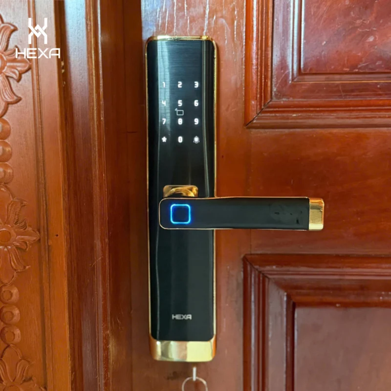 Khóa cửa vân tay Hexa L100