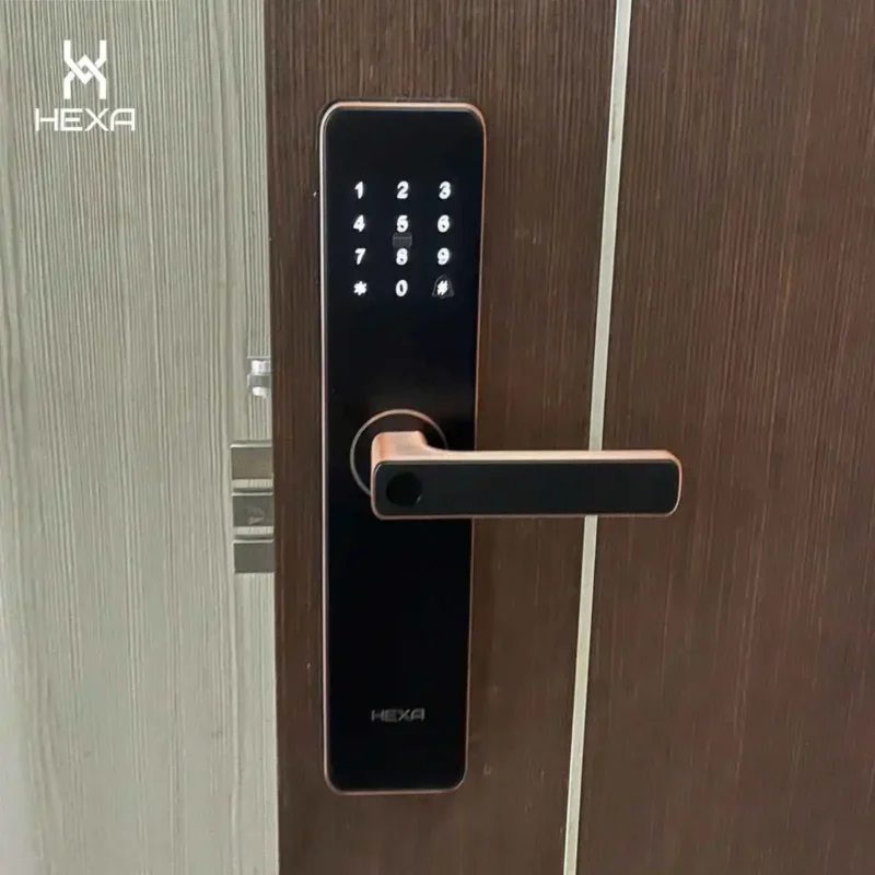 Hexa HX12 lắp trên cửa gỗ chung cư Hà Nội.