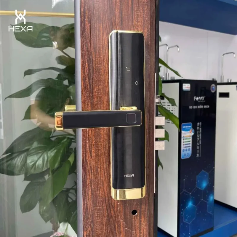 Lắp đặt khóa vân tay tại Bình Dương HEXA L100 phiên bản màu vàng gold